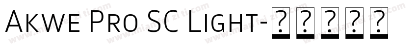 Akwe Pro SC Light字体转换